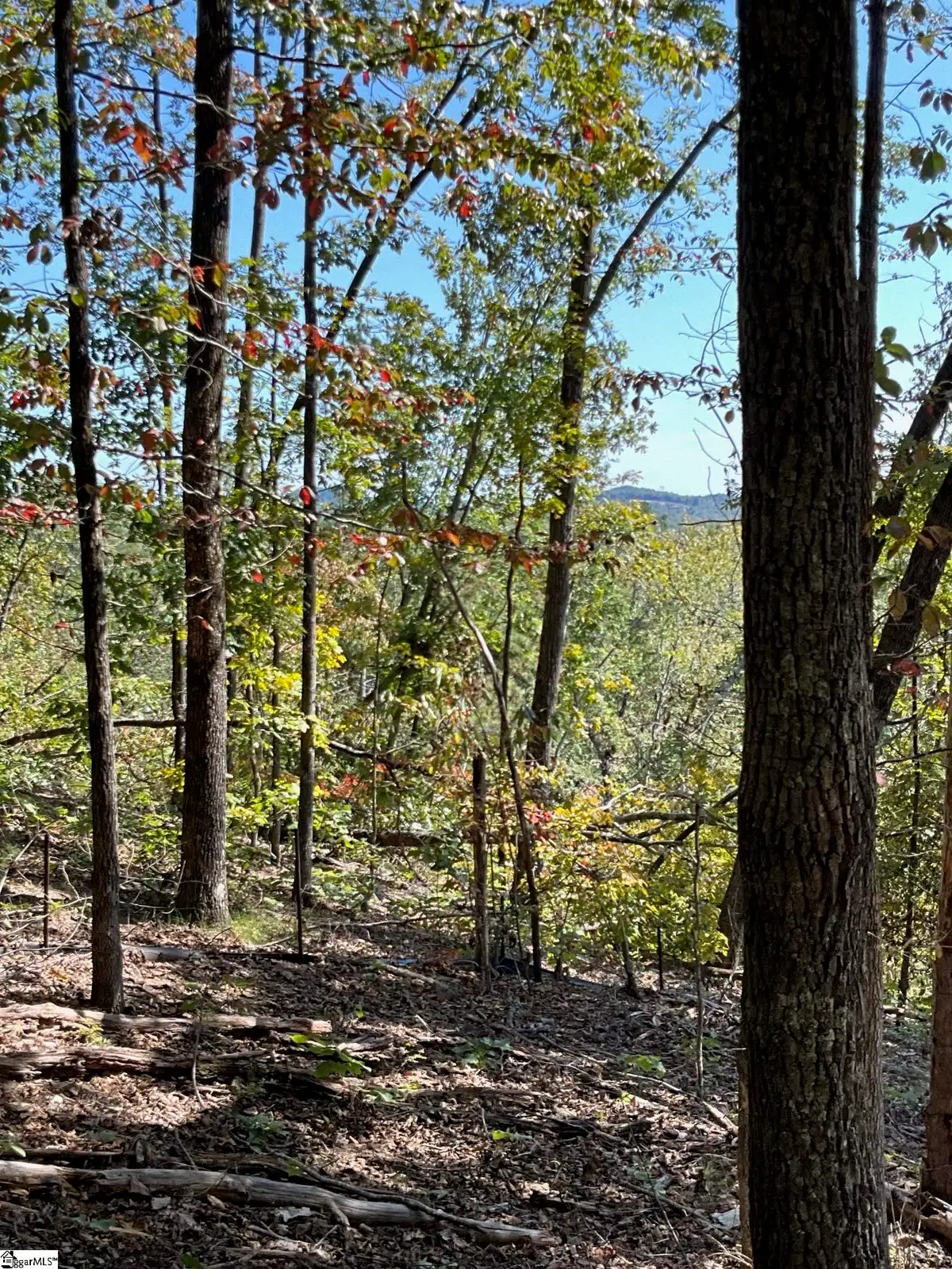 Lot 31 Highridge Parkway, Marietta, SC 29661 - #1