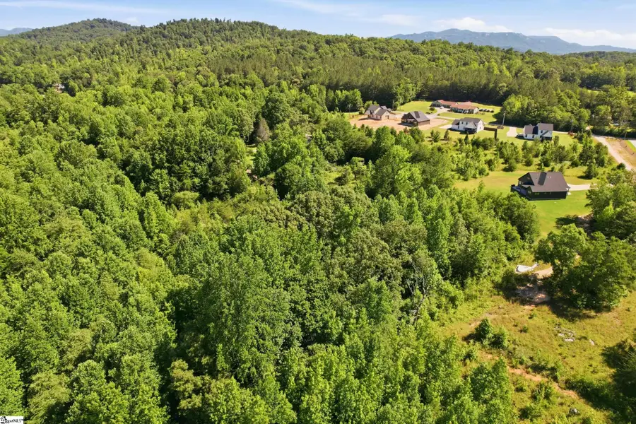 41 Burns Road, Travelers Rest, SC 29690 - #2