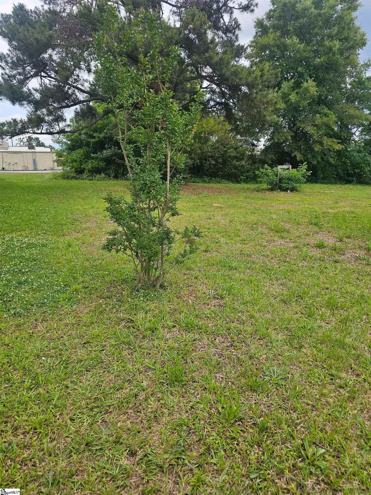 201/203 Dillon Drive, Clinton, SC 29325 - #1