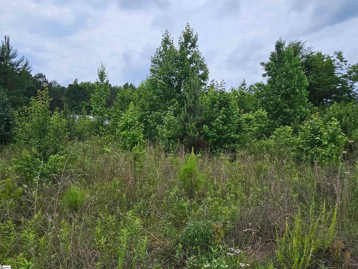 144 Colleton Drive, Clinton, SC 29325 - #1