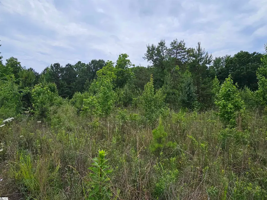 144 Colleton Drive, Clinton, SC 29325 - #2