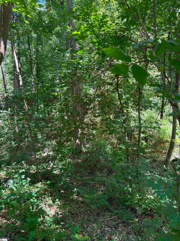 45 Emily Lane, Piedmont, SC 29673