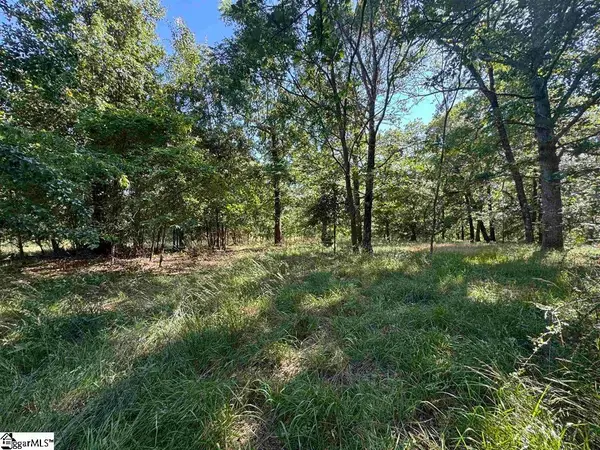 Address Withheld By Seller, Liberty, SC 29657