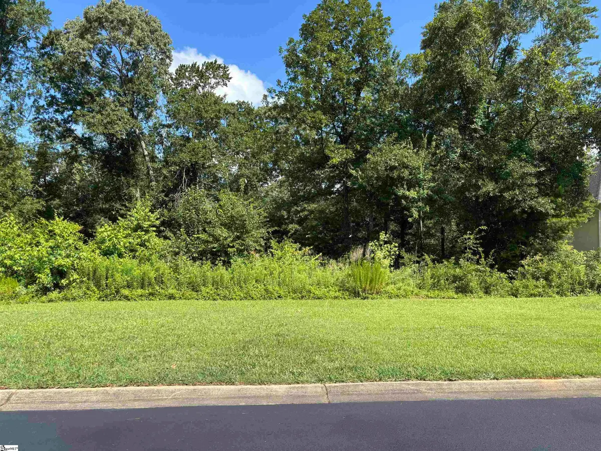 213 Privelllo Place, Simpsonville, SC 29681 - #1