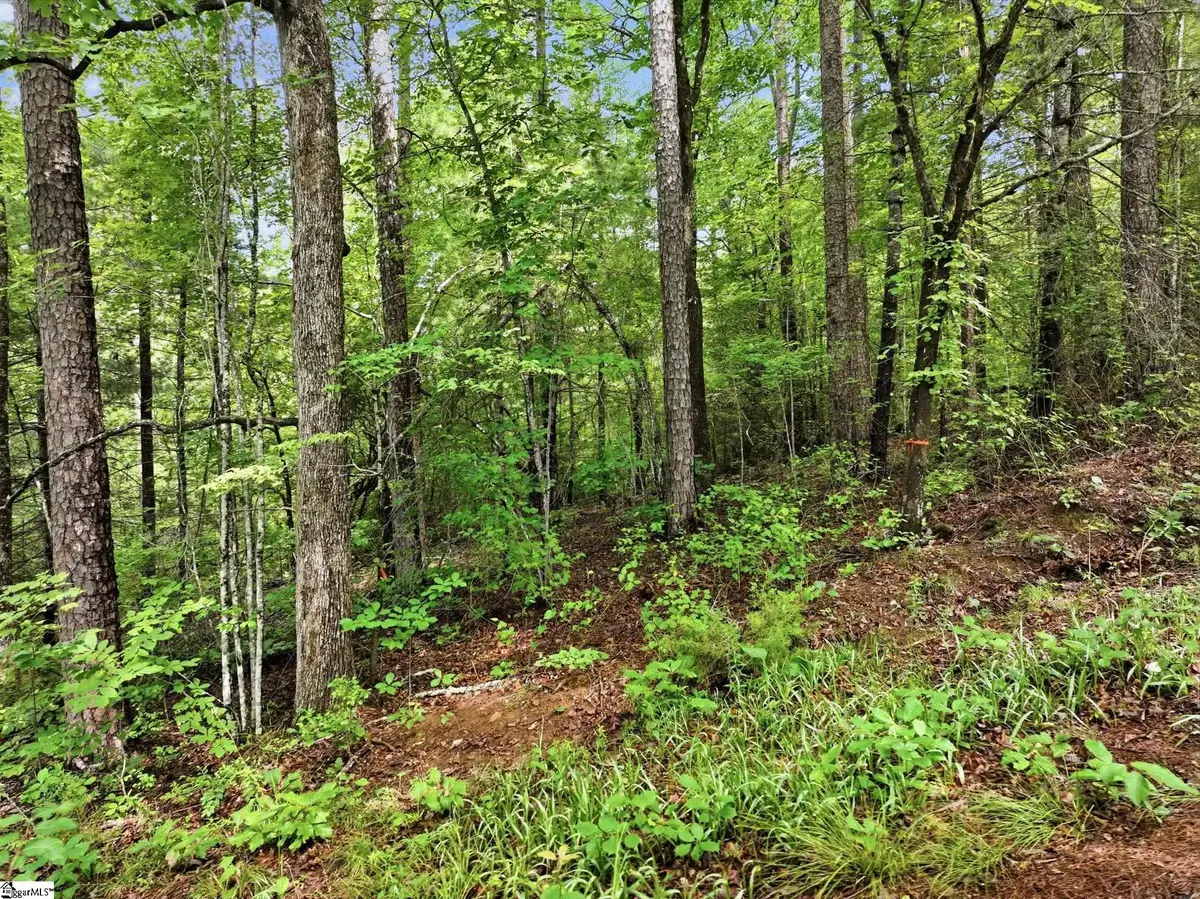 231 Cherokee Hills Drive, Pickens, SC 29671 - #1