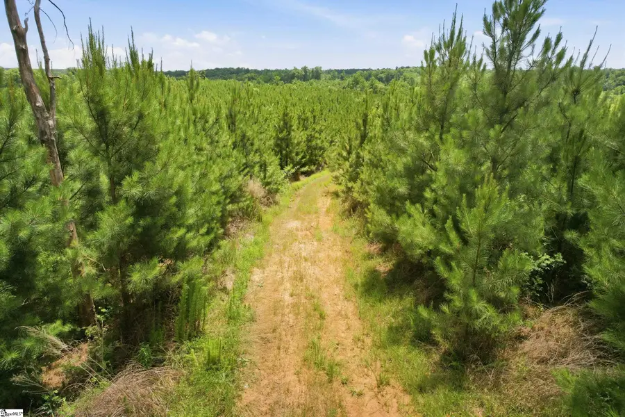 839 Duncan Creek Church Road, Laurens, SC 29360 - #3