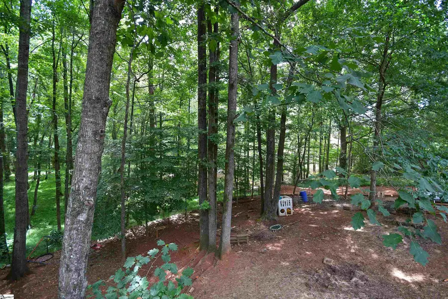 450 Waspnest Road, Wellford, SC 29385 - #3