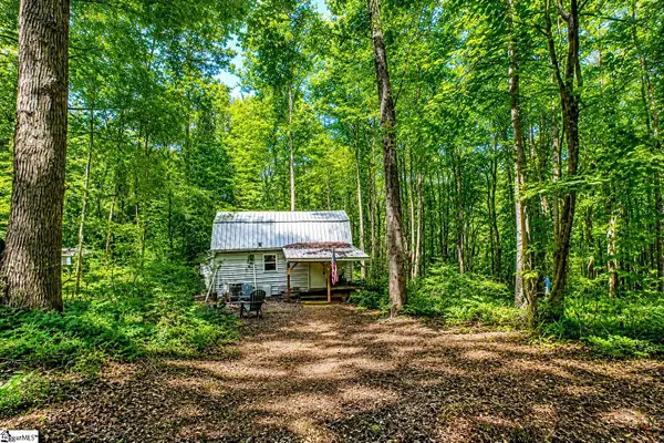 0 Long Branch Road, Enoree, SC 29335