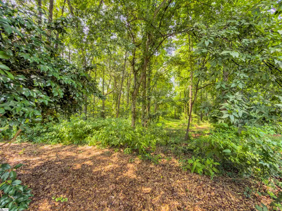 Lot 94 Peters Creek Court, Simpsonville, SC 29681 - #3