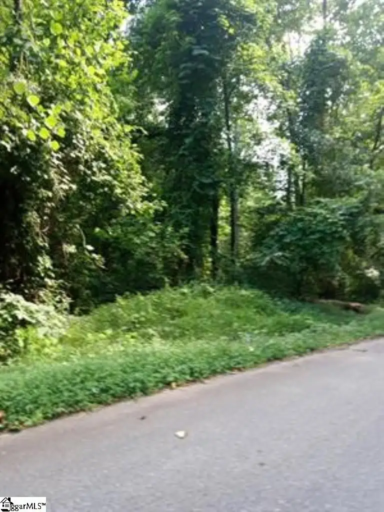 0 Cole Road, Campobello, SC 29322-9998 - #1
