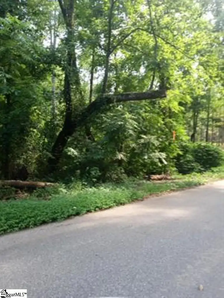 0 Cole Road, Campobello, SC 29322-9998 - #2