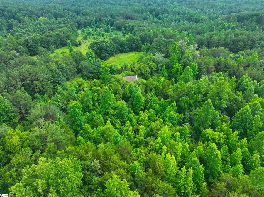 3573 Moorefield Memorial Highway, Pickens, SC 29671 - #2