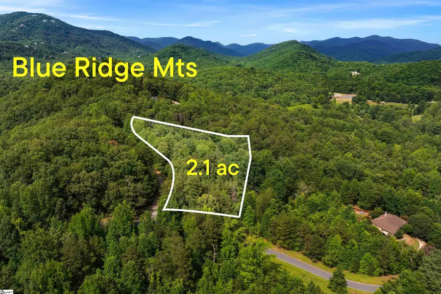 00 Foxboro Road, Travelers Rest, SC 29690-8580 - #3