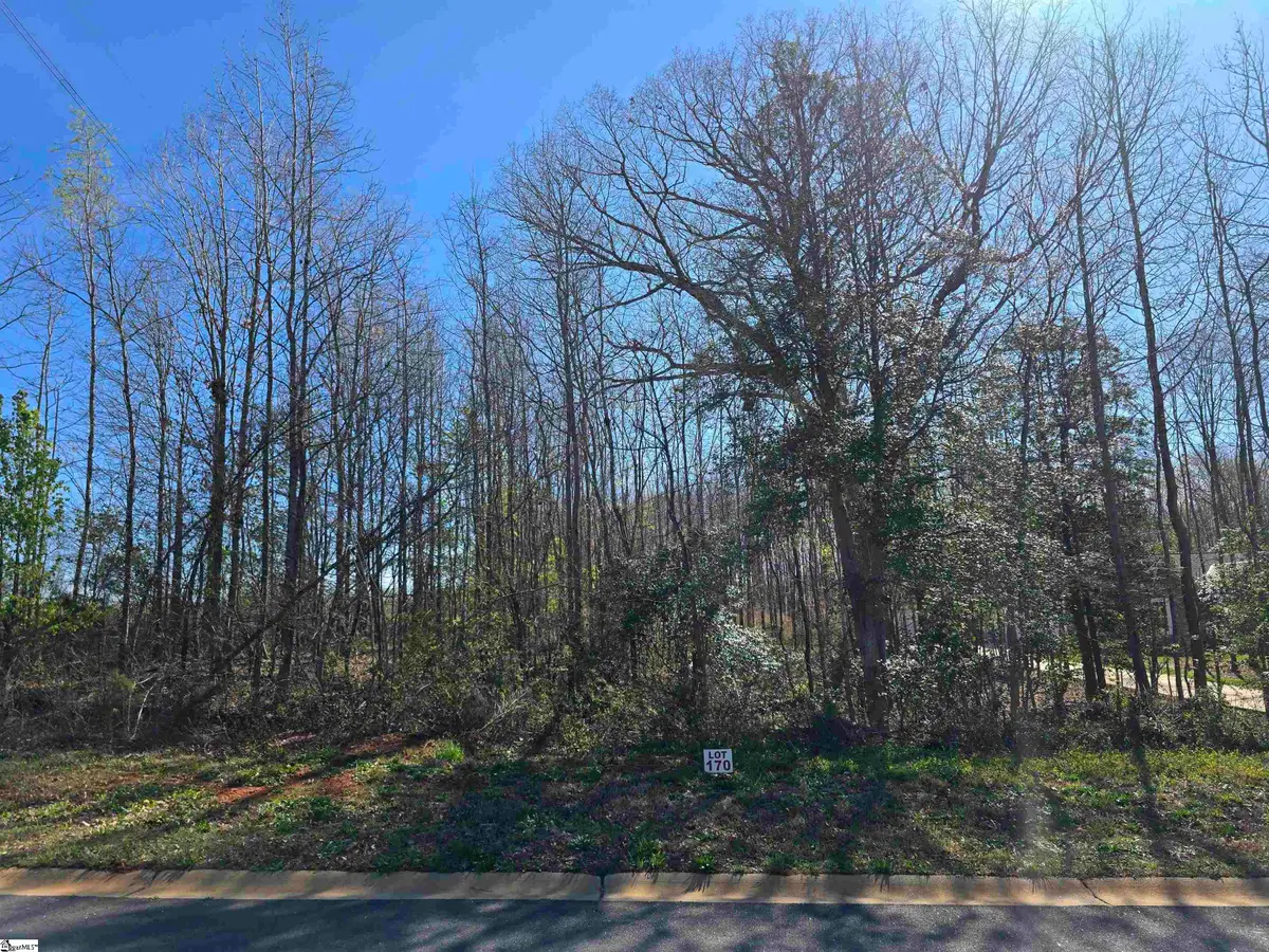 103 Lipizzaner Court, Pelzer, SC 29669 - #1