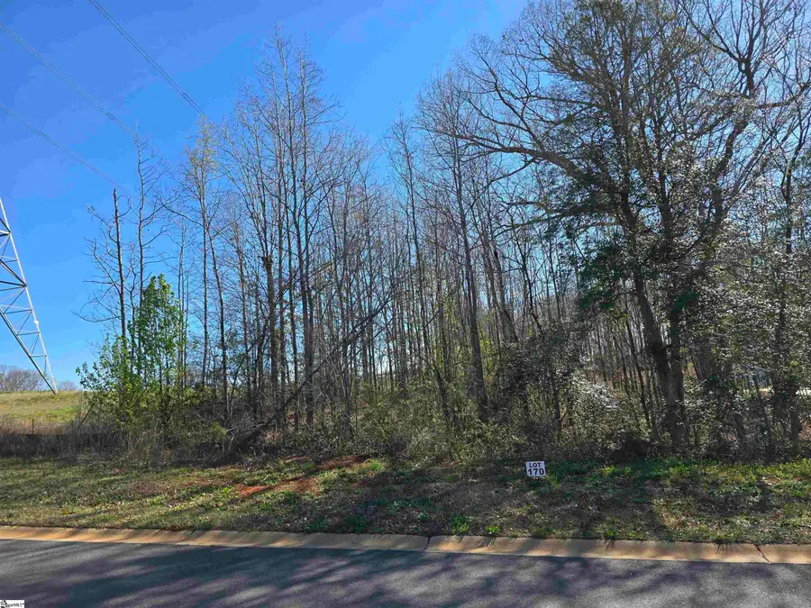 103 Lipizzaner Court, Pelzer, SC 29669 - #3
