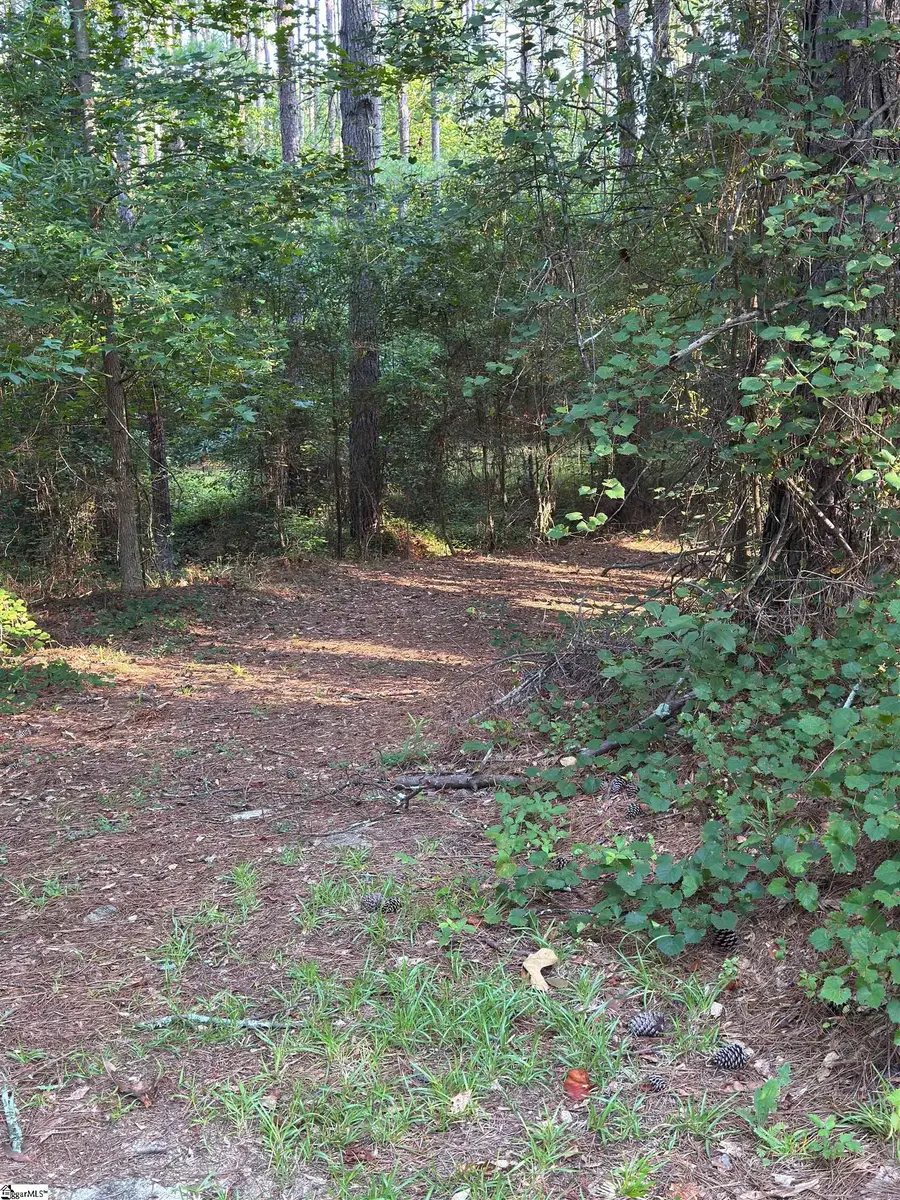 890 Dunklin Bridge Road, Fountain Inn, SC 29644 - #3