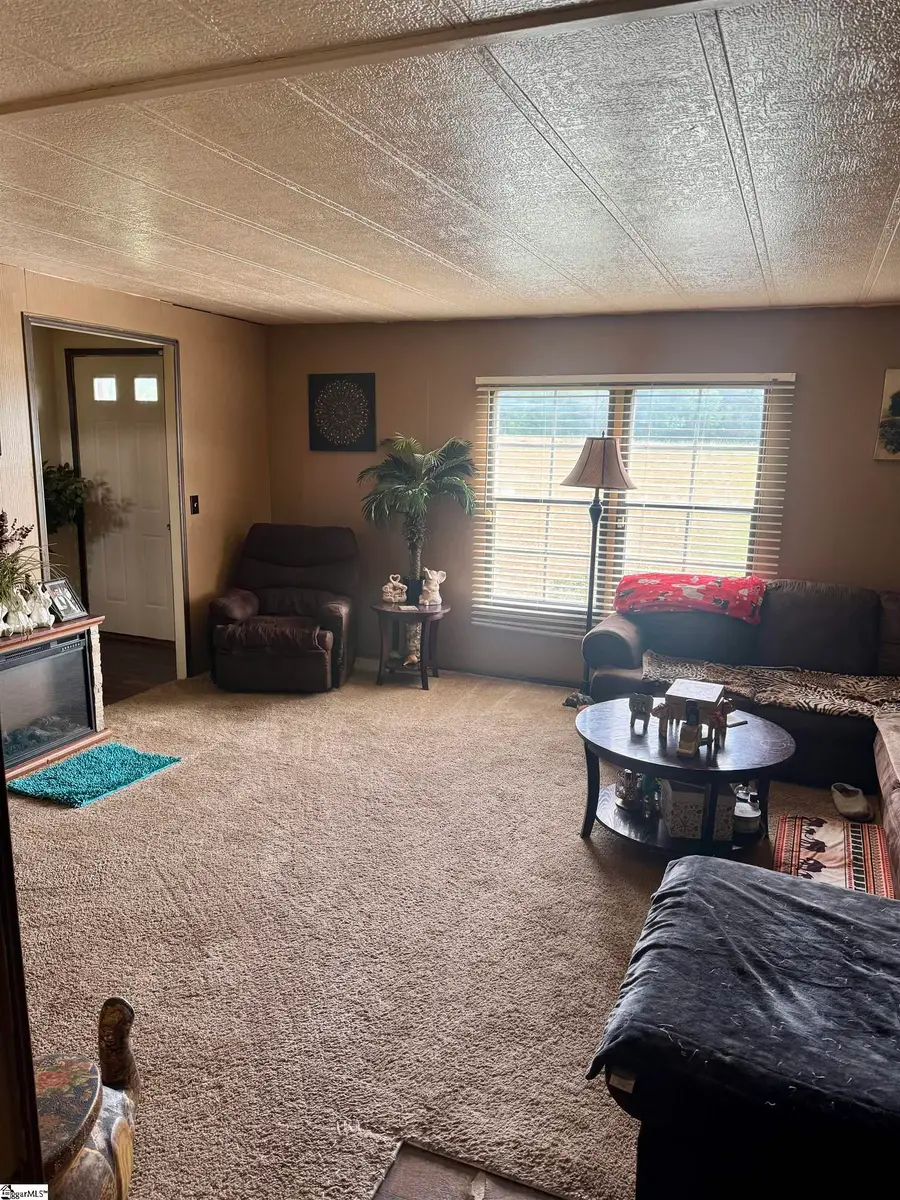 160 Cooper Road, Campobello, SC 29322 - #3