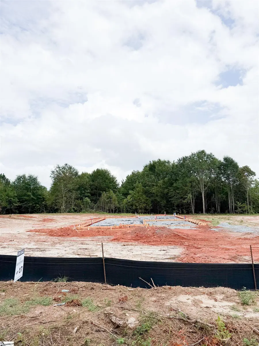 60 Henderson Road, Gray Court, SC 29645 - #3