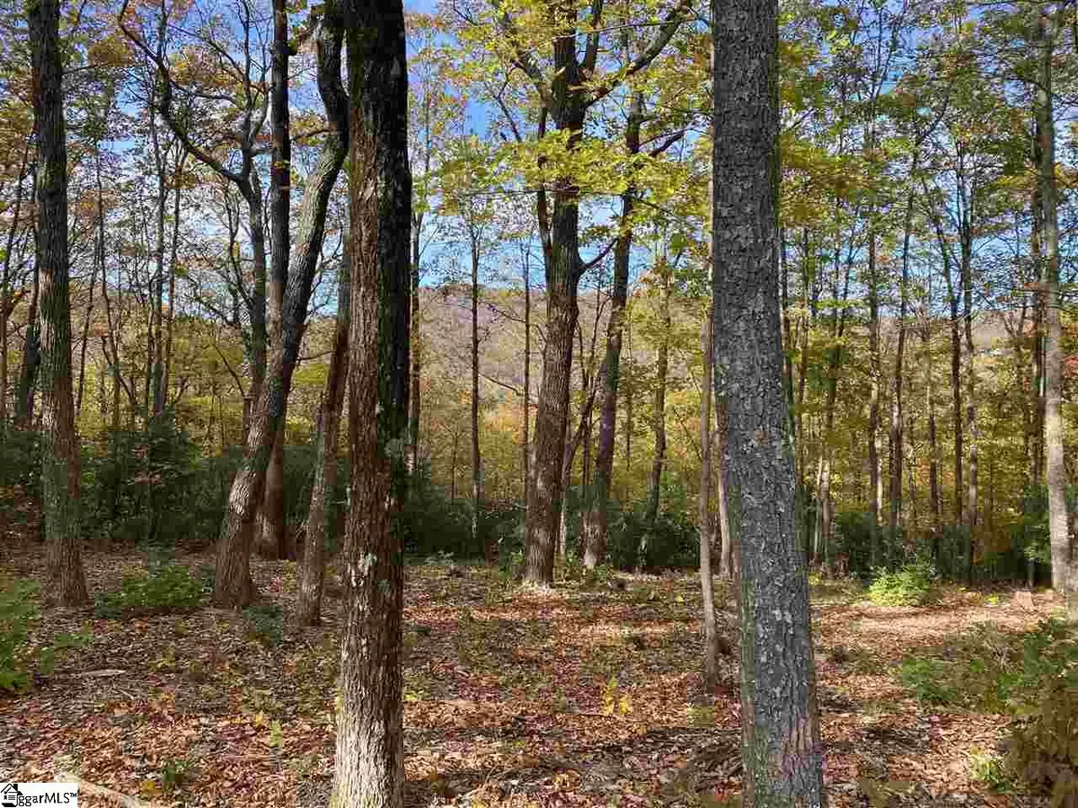 1526 Panther Park Trail, Travelers Rest, SC 29690 - #1