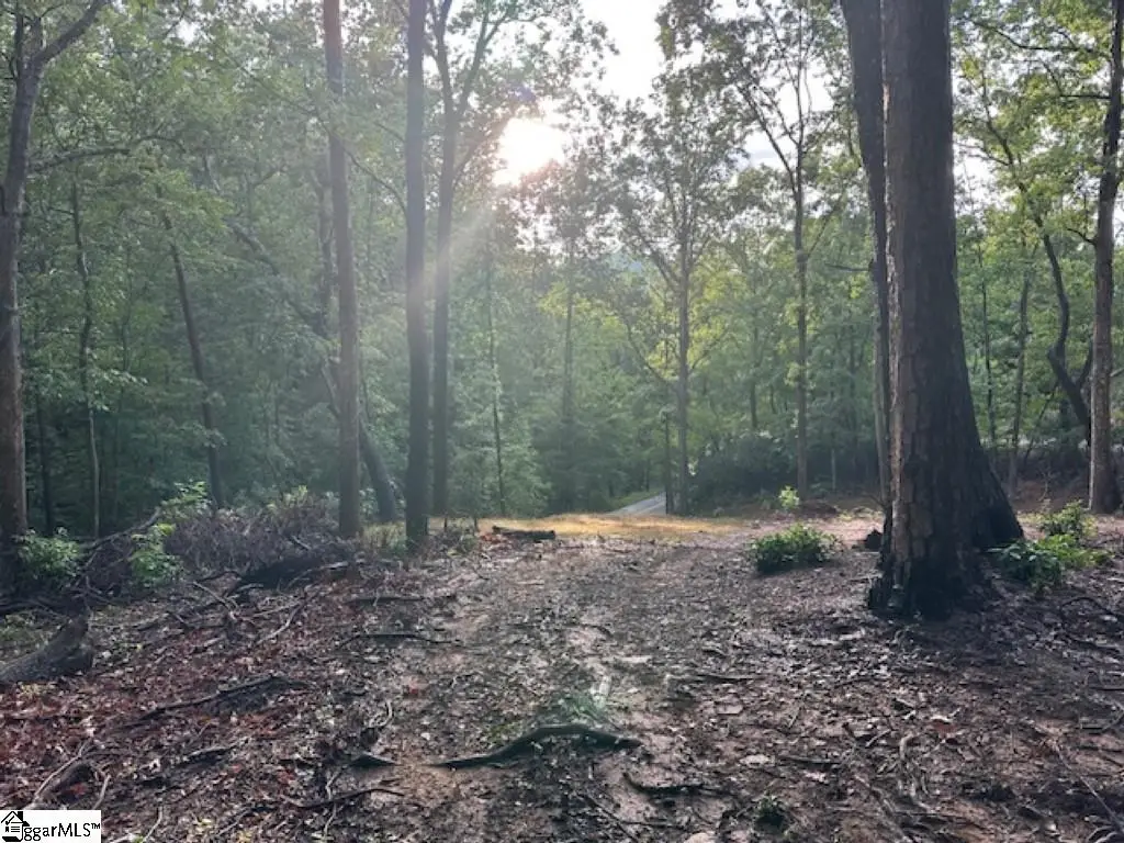 00 E Lakeshore Drive, Landrum, SC 29356 - #1