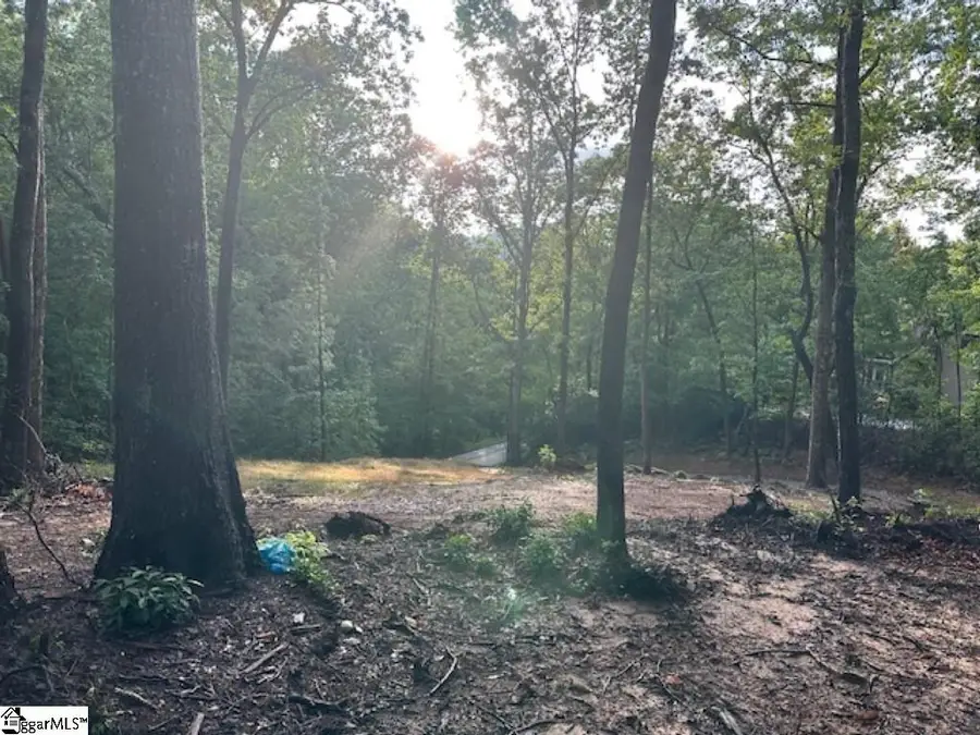 00 E Lakeshore Drive, Landrum, SC 29356 - #3
