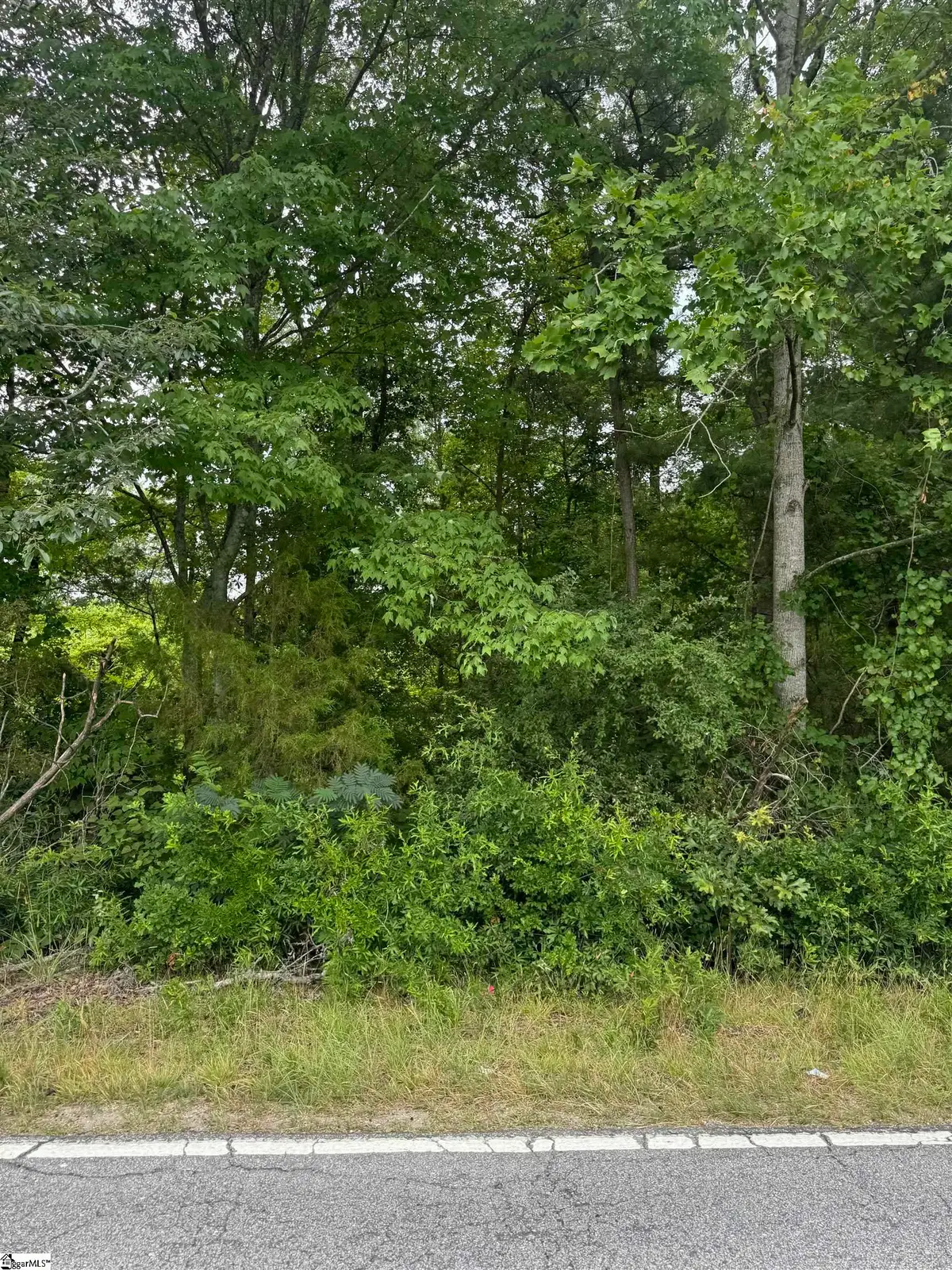 1587 Old Anderson Mill Road, Moore, SC 29369 - #1