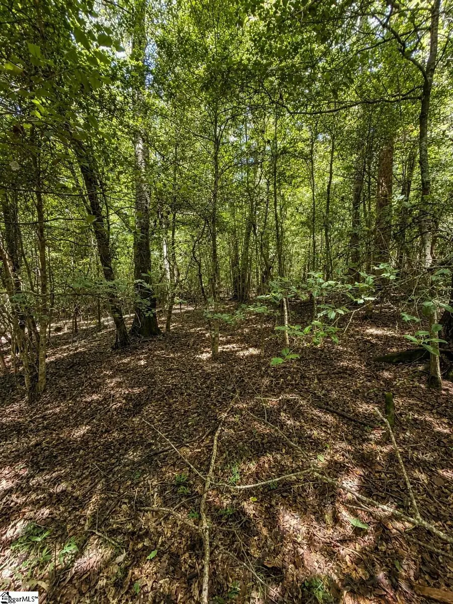 Tract 3 Circle Road, Easley, SC 29642 - #2