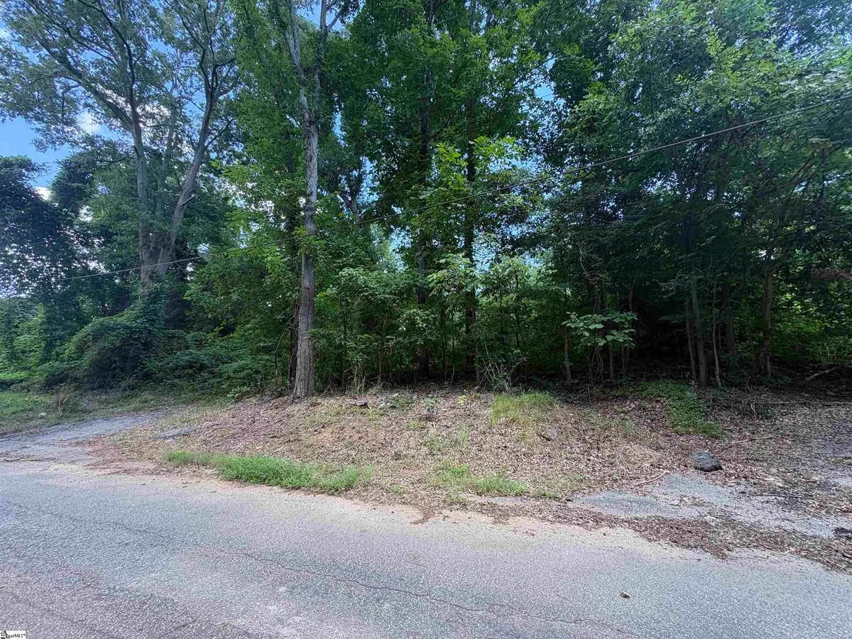 103 Jersey Street, Laurens, SC 29360 - #1