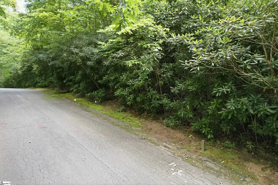 127 Conifer Falls Road, Cleveland, SC 29635 - #3