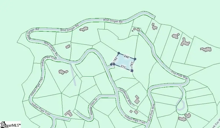 00 Lacey Fern Way, Landrum, SC 29356 - #3