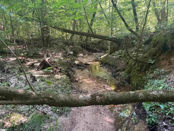 Old Calhoun Falls Road, Abbeville, SC 29620
