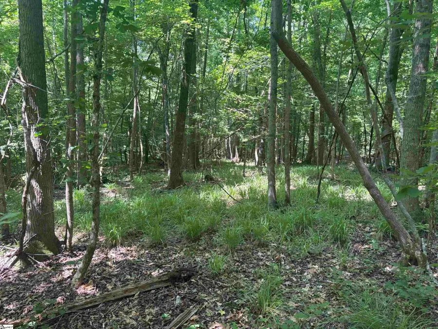 Old Calhoun Falls Road, Abbeville, SC 29620 - #2