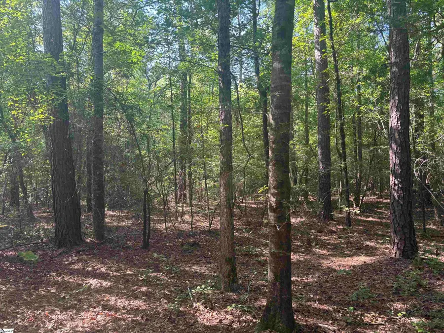 Old Calhoun Falls Road, Abbeville, SC 29620 - #3