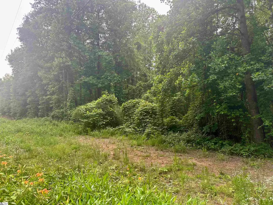 00 Dacusville Road, Marietta, SC 29661 - #3