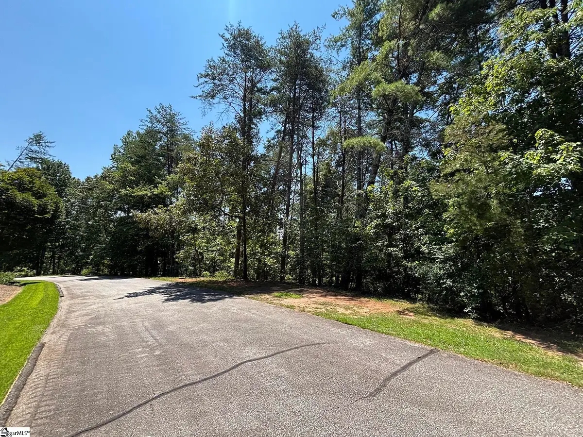 111 Sweetshrub Way, Sunset, SC 29685 - #1