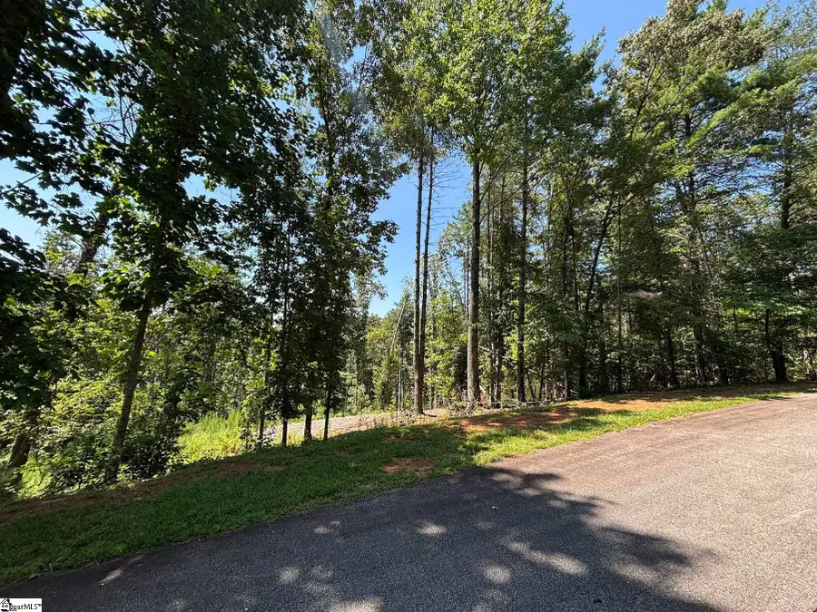 111 Sweetshrub Way, Sunset, SC 29685 - #3