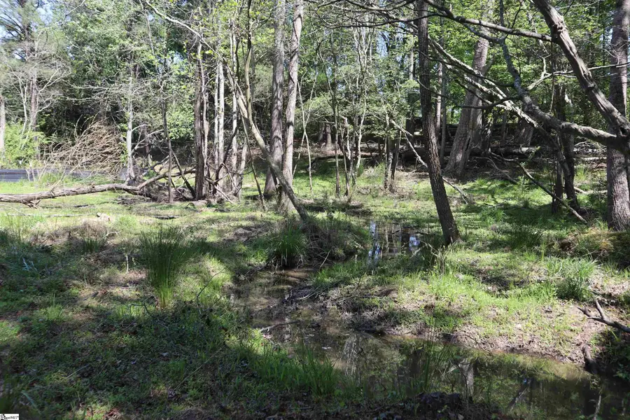 0 Old Canaan Tract 5 Road, Spartanburg, SC 29306 - #2