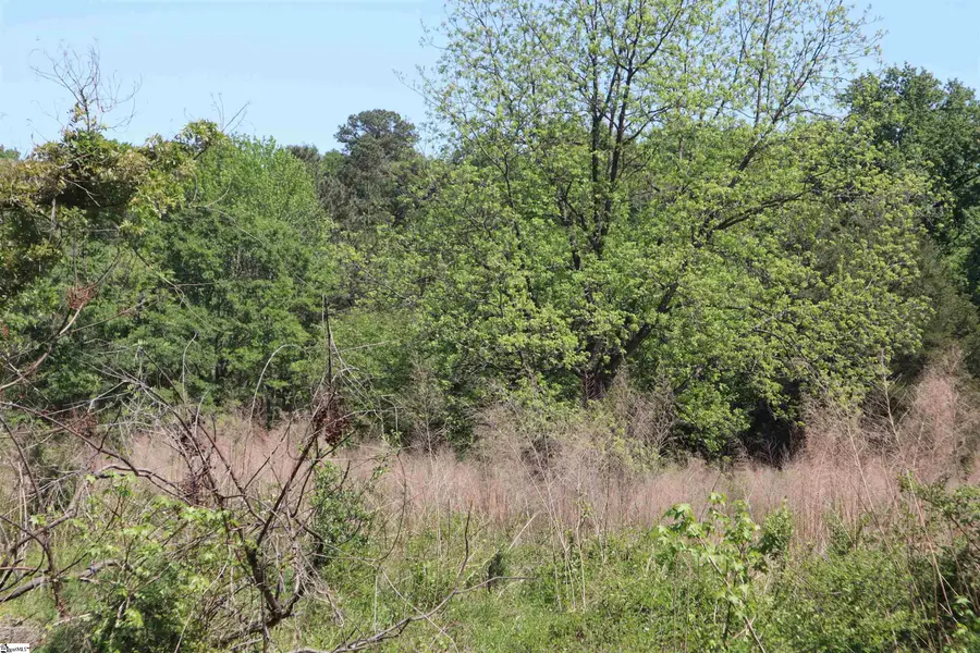 0 Old Canaan Tract 5 Road, Spartanburg, SC 29306 - #3