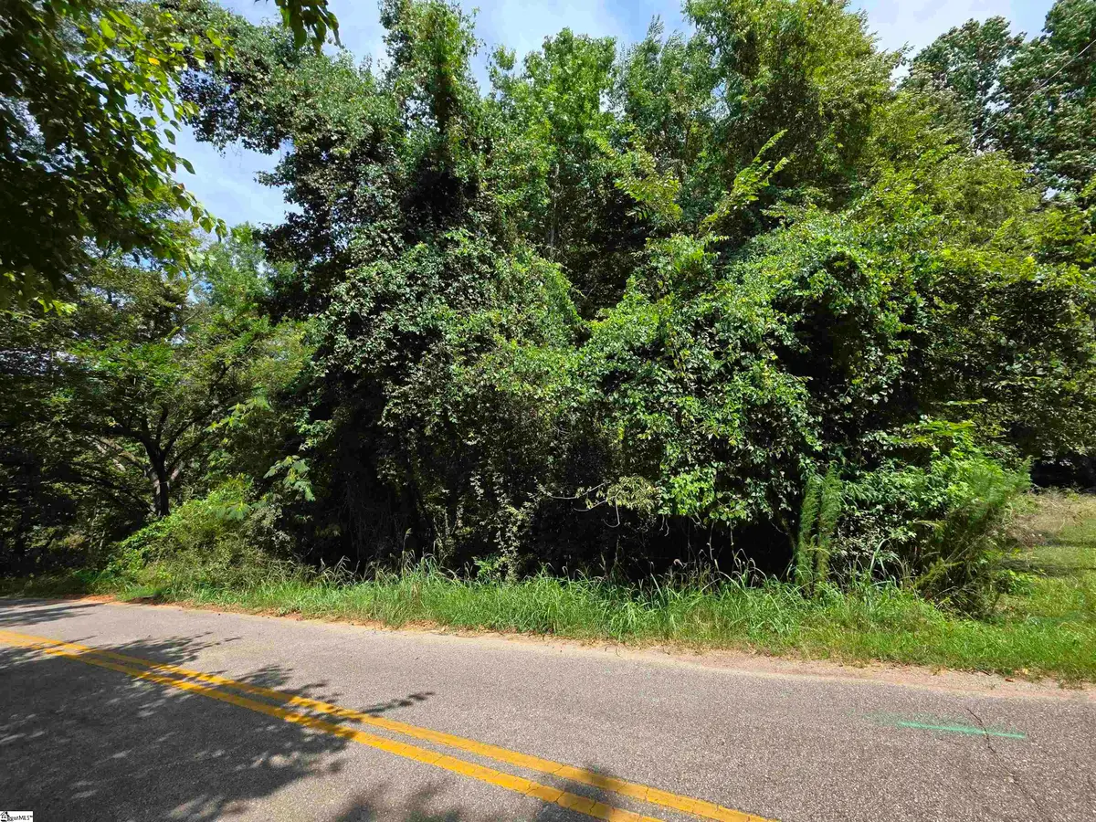 318 Meadowbrook Avenue, Woodruff, SC 29388 - #1