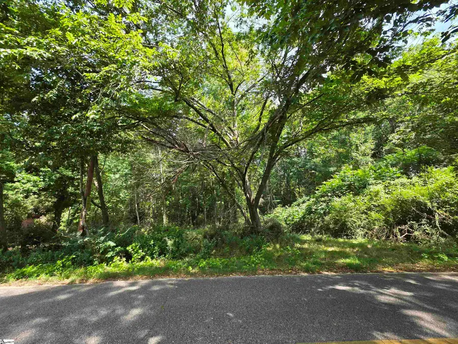 318 Meadowbrook Avenue, Woodruff, SC 29388 - #2