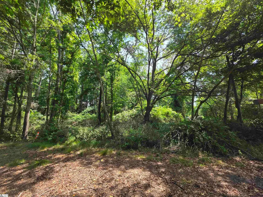 318 Meadowbrook Avenue, Woodruff, SC 29388 - #3