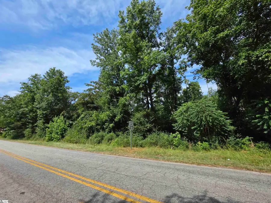 236 Hawthorne Avenue, Woodruff, SC 29388 - #2