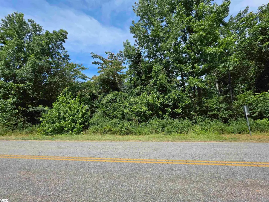 236 Hawthorne Avenue, Woodruff, SC 29388 - #3