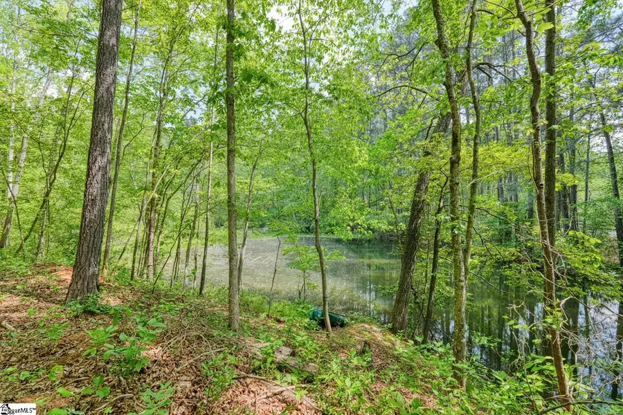 0 Motlow Creek Road, Campobello, SC 29322 - #3