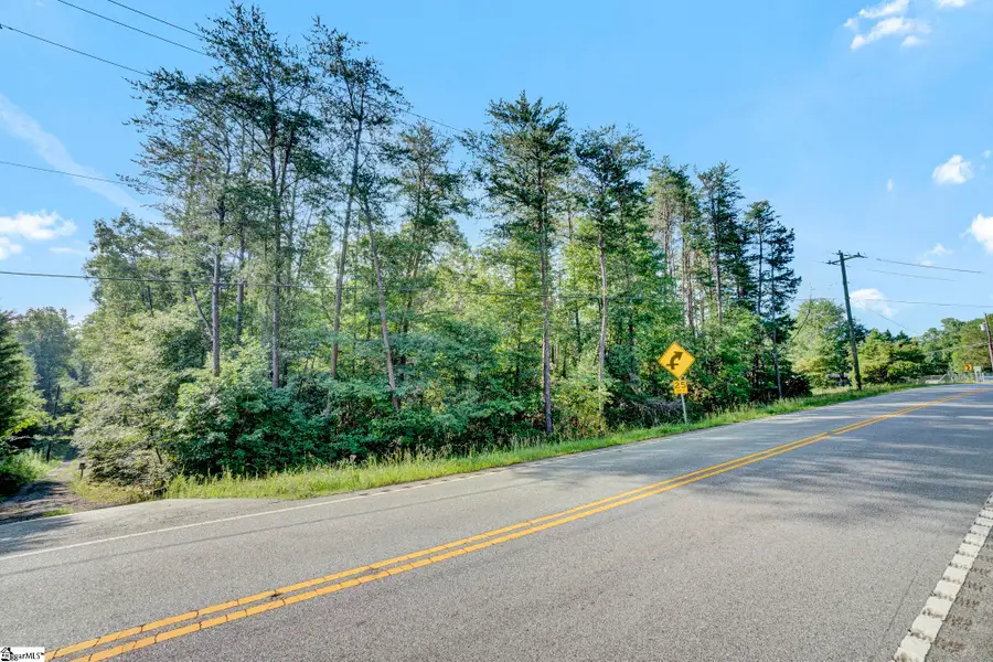00 White Horse Road Extension, Travelers Rest, SC 29690 - #3
