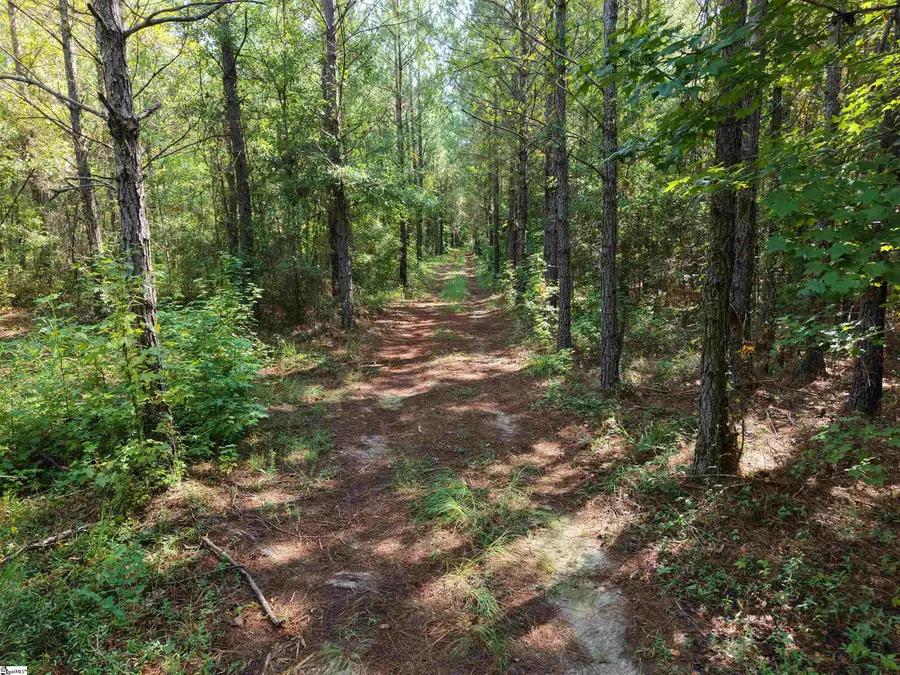 0 Able Road, Bamberg, SC 29003 - #3