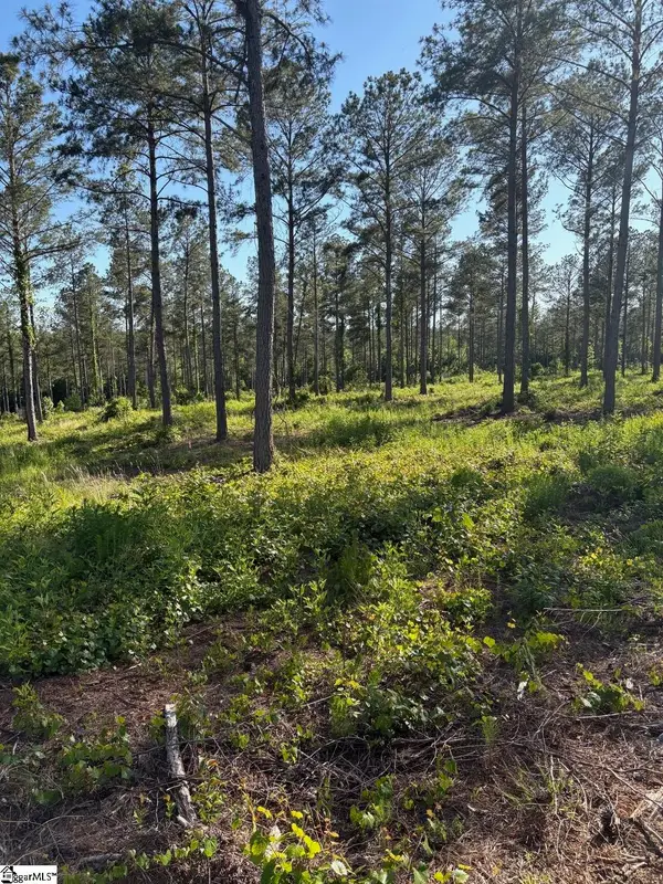 334 Berry Road, Pelzer, SC 29669