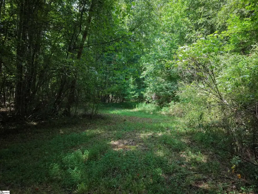 01 Dacusville Road, Marietta, SC 29661 - #2