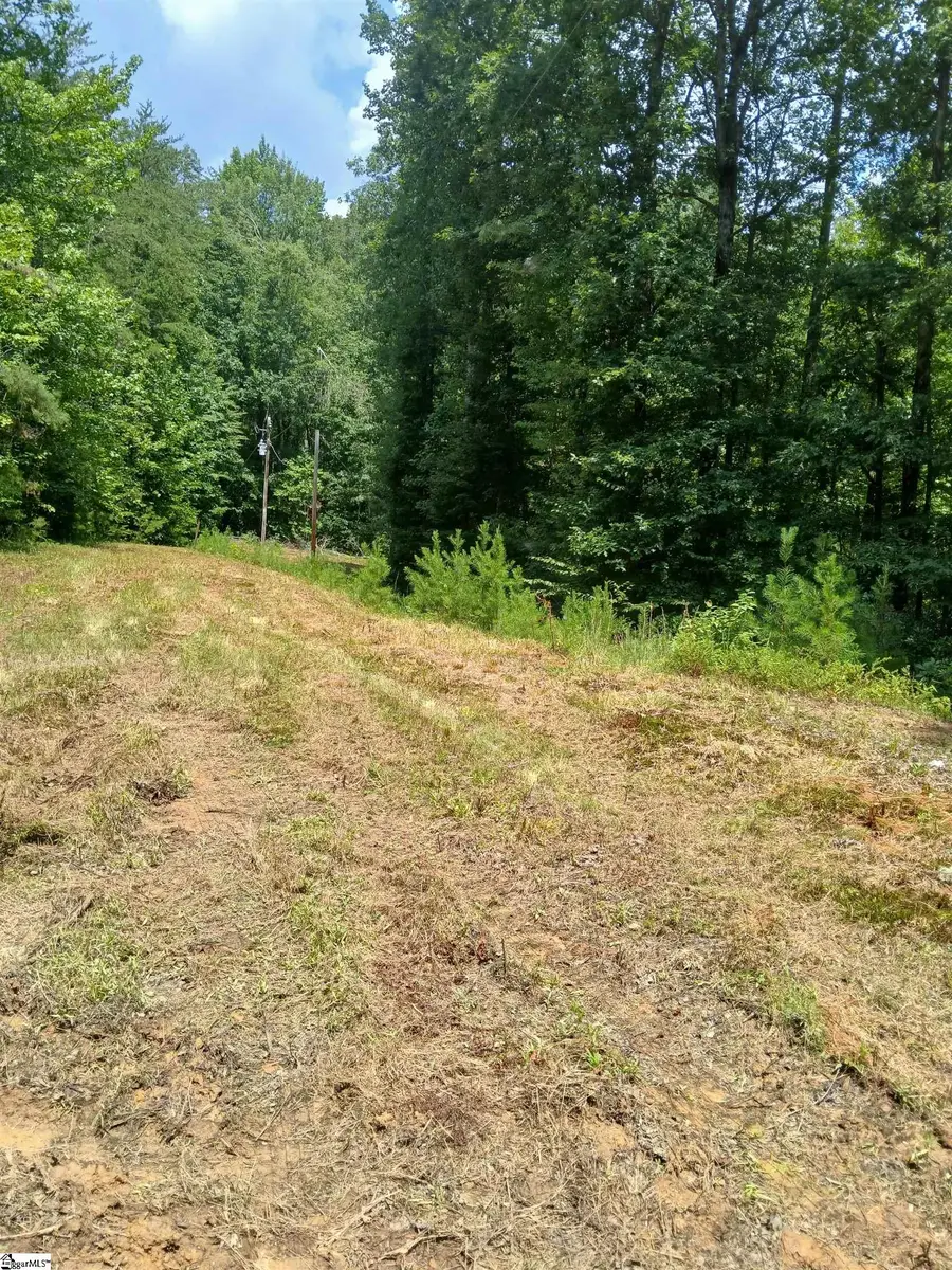 116 Rhodes Lane, Marietta, SC 29661 - #2