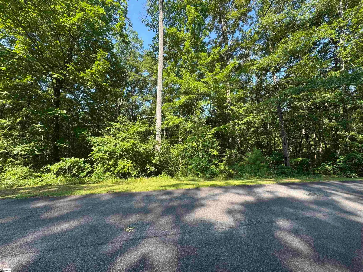 712 Scharlin Drive, Pickens, SC 29671 - #1